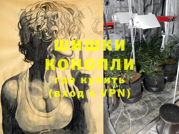 мяу мяу кристалл Бикин