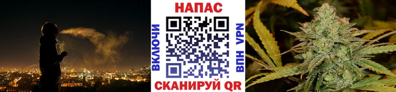 где купить наркотик Кашин Канабис сатива